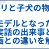 【マリと子犬の物語】モデルの実話の出来事と映画との違いを解説 サムネ