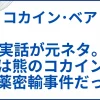 【コカイン・ベア】 実話が元ネタ。内容は熊のコカイン摂取と麻薬密輸事件だった サムネ